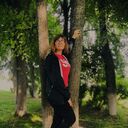 ���������� ������������, ���� ������� �����, 22 ����, ������������ ��� c�������� ���������, ���������