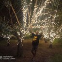 ���������� ������������, ���� ������� ����, 61 ���, ������������ ��� ������, ����� � ���������, c�������� ���������