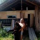  ,   , 49 ,     , c 