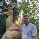 ���������� �����-���������, ���� ������� ���������, 51 ���, ������������ ��� ������, ����� � ���������, ���������