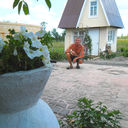  ,   , 62 ,   