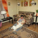  ,   , 56 ,   ,   , c 