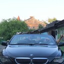 ���������� ����, ���� ����� Sasha, 25 ���, ������������ ��� ������, ����� � ���������