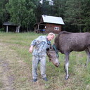  ,   BORIS, 54 ,   ,   , c , 
