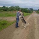 ���������� �����������, ���� ������� ���������, 39 ���, ������������ ��� ������, ����� � ���������, ���������