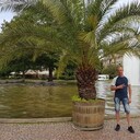 ���������� ������, ���� ������� ������, 40 ���, ������������ ��� ����� � ���������, c�������� ���������