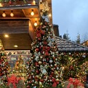 ���������� �����������, ���� ������� �����, 41 ���, ������������ ��� ������, ����� � ���������, c�������� ���������