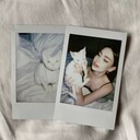 ���������� ������, ���� ������� ��������, 25 ���, ������������ ��� ������, ����� � ���������