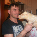 ���������� ������, ���� ������� �������, 46 ���, ������������ 