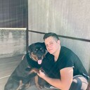 ���������� ��������, ���� ������� ������, 28 ���, ������������ ��� ������, ���������