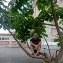  ,   , 42 ,   c 