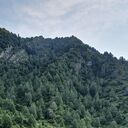 ���������� �����-���������, ���� ������� ����, 51 ���, ������������ ��� ����� � ���������, c�������� ���������, ���������