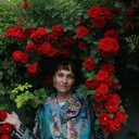  ,   , 55 ,     , 