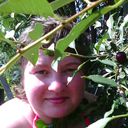 ���������� �����-��������, ���� ������� ��������, 43 ����, ������������ ��� ������, ����� � ���������, c�������� ���������