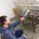 ,   , 33 ,   ,   