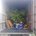 ���������� ������, ���� ������� �������, 38 ���, ������������ ��� ������, ����� � ���������, c�������� ���������, ���������