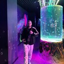 ���������� �������, ���� ����� ������, 24 ����, ������������ ��� ������, ����� � ���������