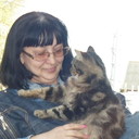  ,   , 60 ,  