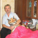  ,   Vova, 65 ,     , c 