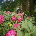 ���������� �����������, ���� ������� ���������, 43 ����, ������������ ��� ������, ����� � ���������, c�������� ���������