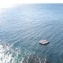 ���������� ��������������, ���� ������� �����, 42 ����, ������������ ��� ������