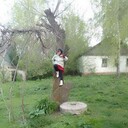 ���������� �����, ���� ������� ������, 65 ���, ������������ ��� ������, ����� � ���������