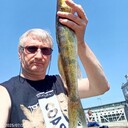 ���������� ������, ���� ������� Olezik, 54 ����, ������������ ��� ������, ����� � ���������