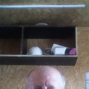  ,   , 48 ,   