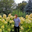  ,   , 57 ,   c 