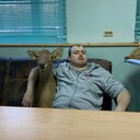 ���������� ����, ���� ������� Vladimir, 33 ����, ������������ ��� ������, ����� � ���������, c�������� ���������