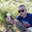  -,   , 46 ,   ,   , c 