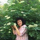  ,   , 58 ,     , c 