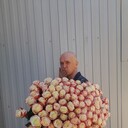 ���������� �������, ���� ������� �����, 55 ���, ������������ ��� ������, ����� � ���������