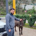  ,   , 28 ,   ,   , c 