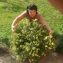  ,   , 54 ,   ,   , c 