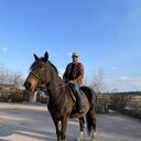 ���������� ������, ���� ������� �����, 40 ���, ������������ ��� ������, ����� � ���������