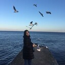  ,   , 33 ,   ,   , c , 