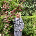  ,   , 65 ,   c 