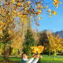 ���������� �����-���������, ���� ������� �������, 49 ���, ������������ ��� ������, ����� � ���������, c�������� ���������