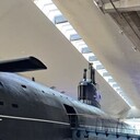 ���������� �����-���������, ���� ������� �������, 42 ����, ������������ ��� ������, ����� � ���������