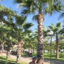  ,   , 52 ,   ,   , c 