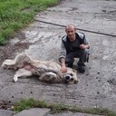 ���������� �����, ���� ������� �����, 41 ���, ������������ ��� ������, ����� � ���������, c�������� ���������