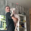  ,   , 40 ,   ,   , c 