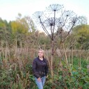 ���������� �����-���������, ���� ������� �����, 41 ���, ������������ 