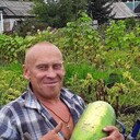  ,   , 53 ,     , 