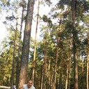 ���������� ������, ���� ������� �������, 50 ���, ������������ ��� ������, ����� � ���������, c�������� ���������