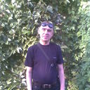  ,   Vit, 51 ,   ,   , c , 