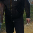  ,   GogliK, 46 ,  