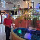 ���������� �������, ���� ������� ������, 47 ���, ������������ ��� ������, ����� � ���������, c�������� ���������, ���������