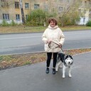   ,   , 60 ,   ,   